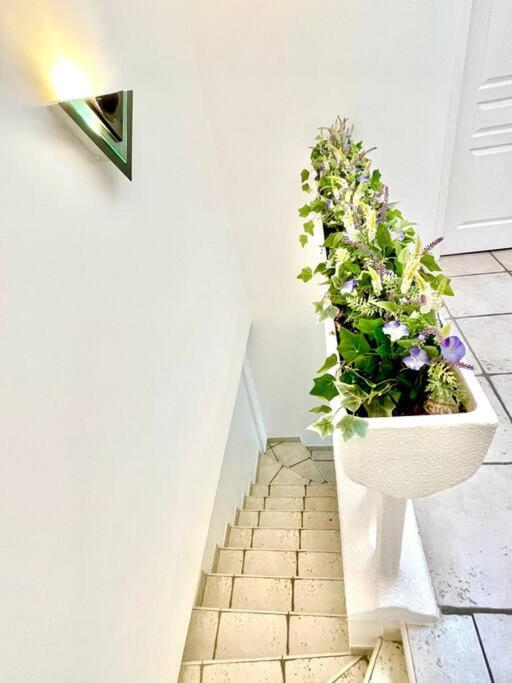 Saint-Augustin  Charmante Villa Pour 10 Personnes מראה חיצוני תמונה
